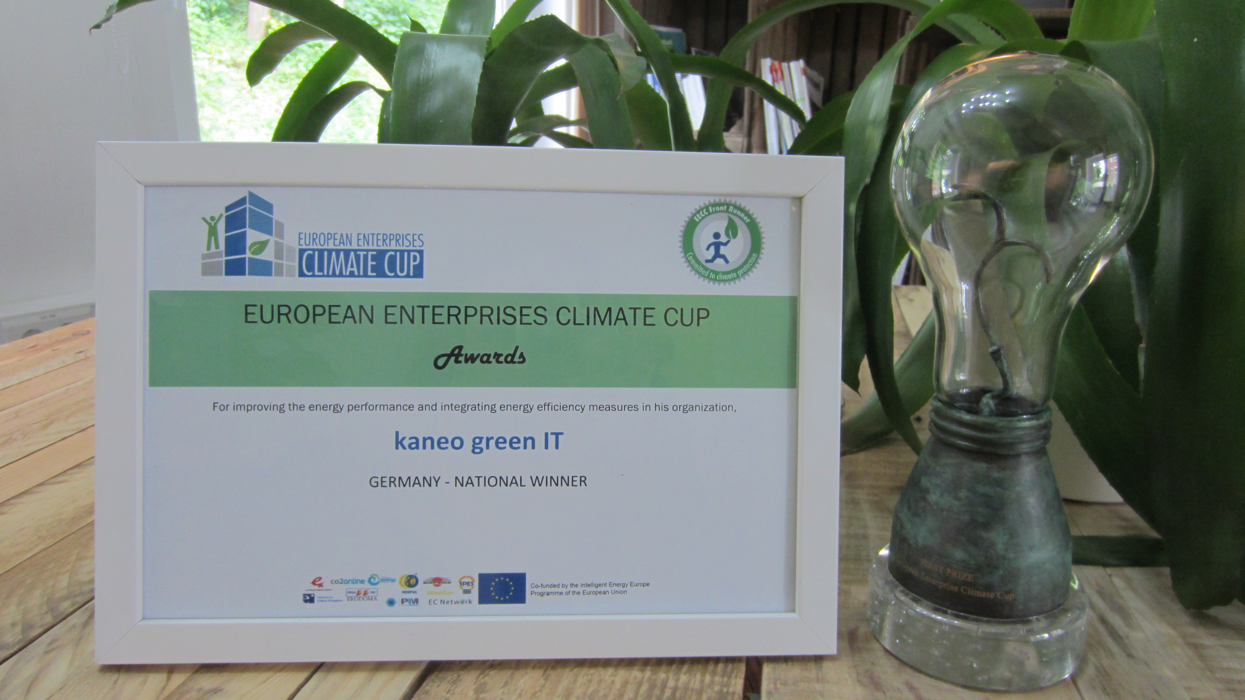 Auszeichnung Energiesparen Green IT kaneo GmbH
